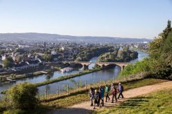 wandern-an-der-mosel