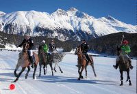 ENGADIN St. Moritz: Snow Polo World Cup St. Moritz